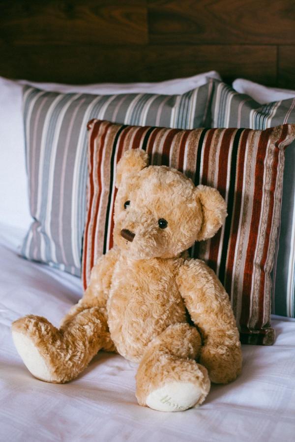 2 Mikes Homestay Dublin Zewnętrze zdjęcie